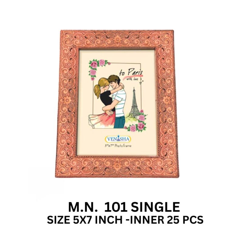 VANISHA 101 SINGLE
