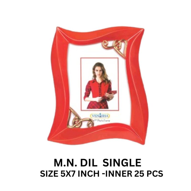 VANISHA DIL SINGLE